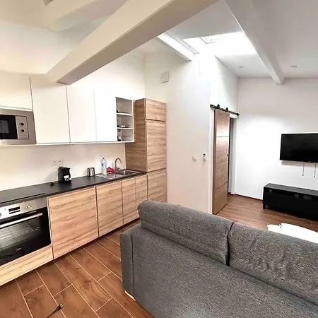 Apartament Carina- 2-4 Pers- Standing Hyper Centre Climatise